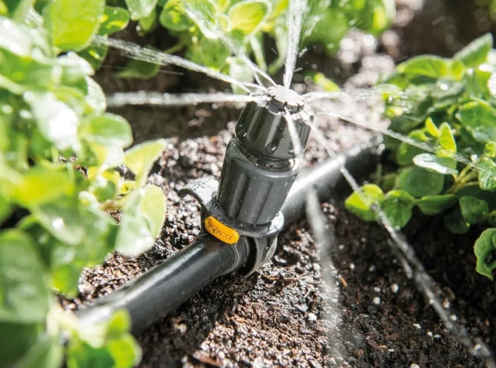 watering plants with gray water